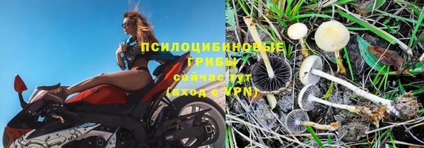 скорость Волосово