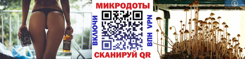 гидра как войти  Катайск  Галлюциногенные грибы мицелий 