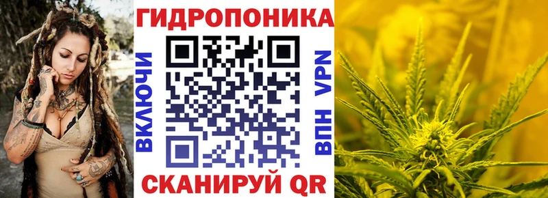 наркошоп  Катайск  Марихуана сатива 